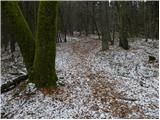 Spodnja Besnica (Ribogojnica) - Špičasti hrib